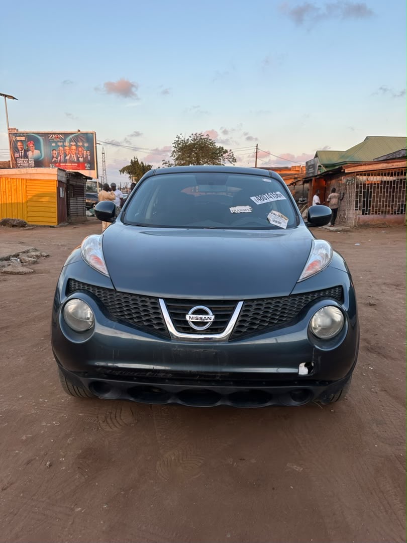 2013 Nissan Juke